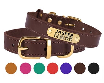 dog collars