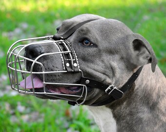 colorful basket muzzle