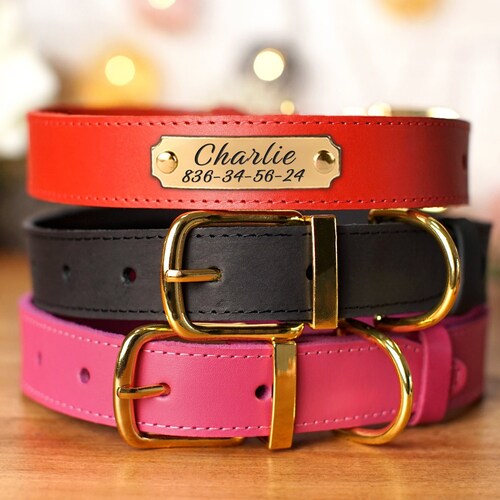 Bright Orange Hunting Dog Collar With Personalized Name Plate Etsy