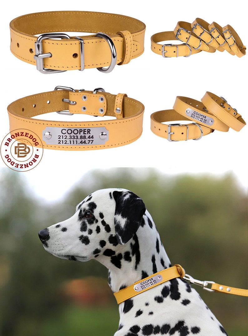 Leather Dog Collar Custom Dog Collar Puppy Collar Etsy