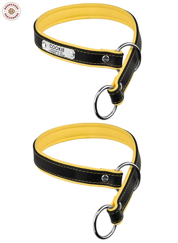 personalized slip leashes