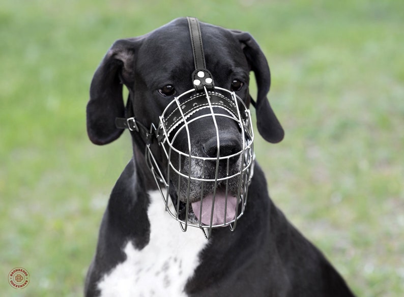 Wire Basket Dog Muzzle Great Dane Metal With Adjustable Etsy
