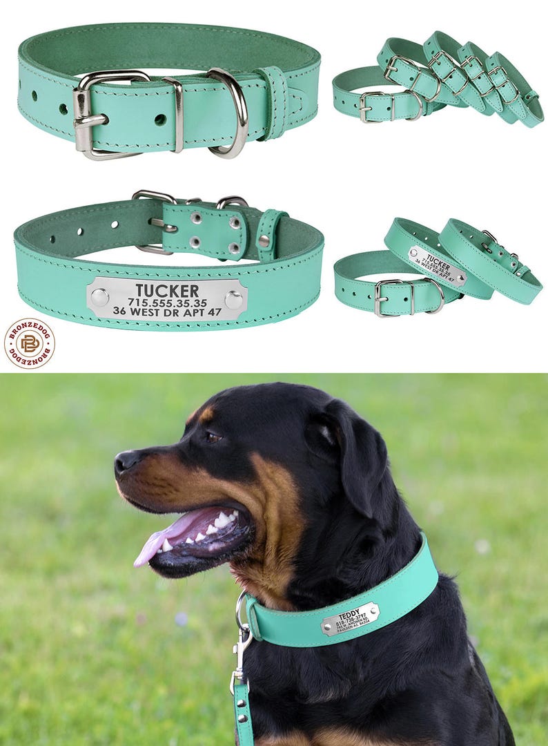 Leather Dog Collar Custom Dog Collar Puppy Collar Etsy