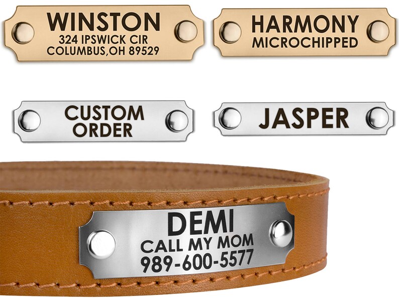 Dog Tag Laser Engraved Dog ID Tag Personalized Dog ID Tag Etsy