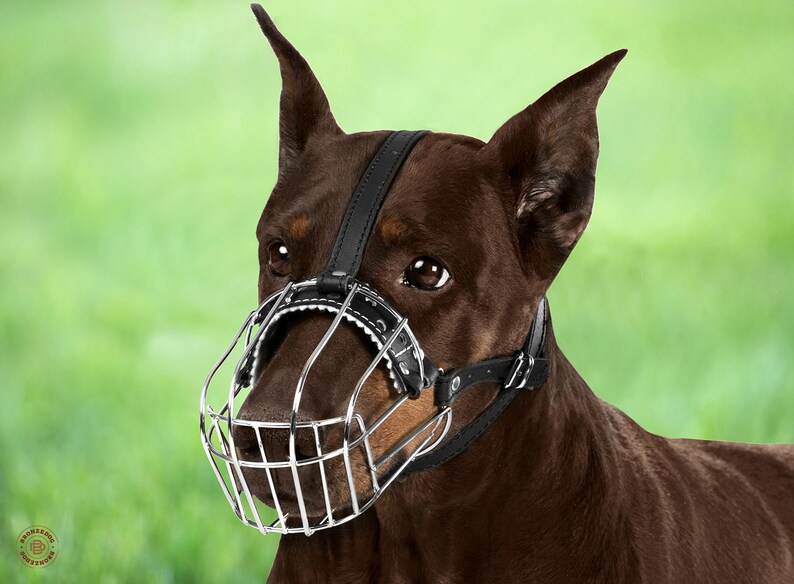 Dog Muzzle Doberman Wire Basket Adjustable Leather Straps Etsy
