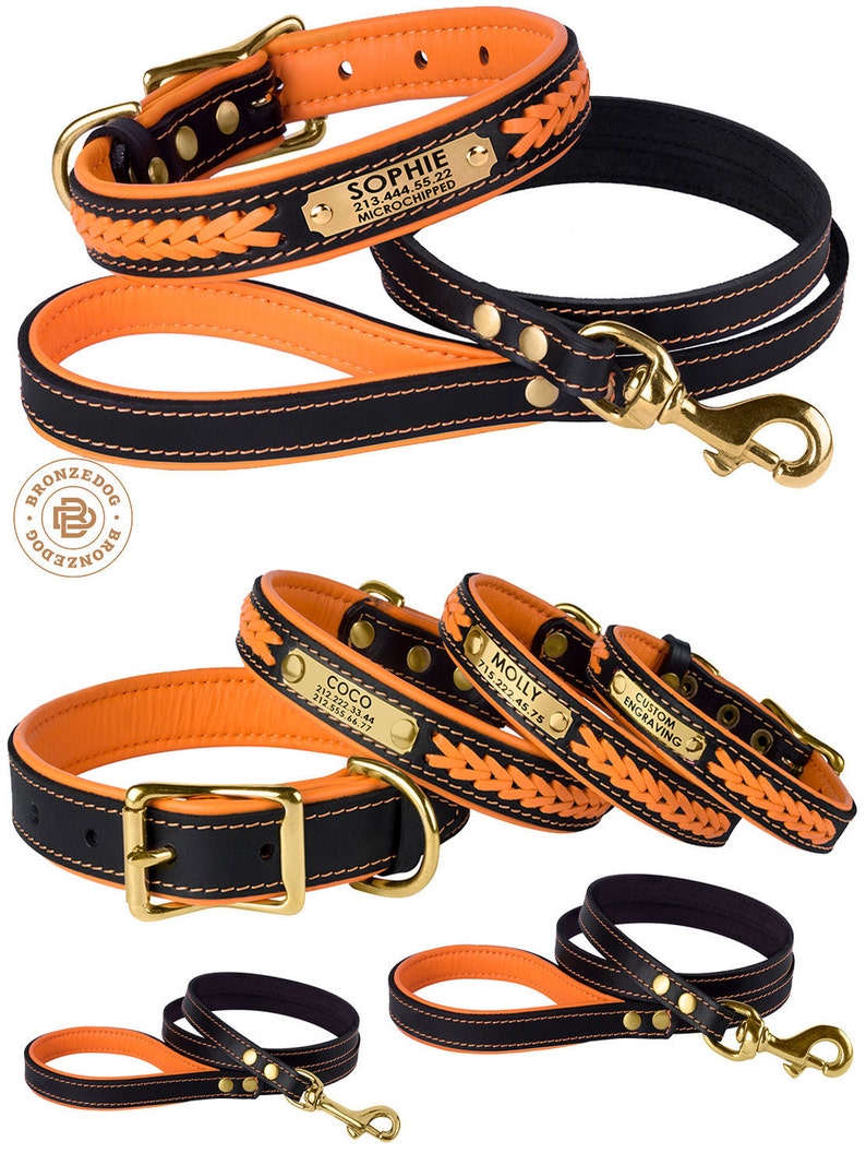 Dog Collar Leash Set Orange Leather Custom Personalized Brass Etsy