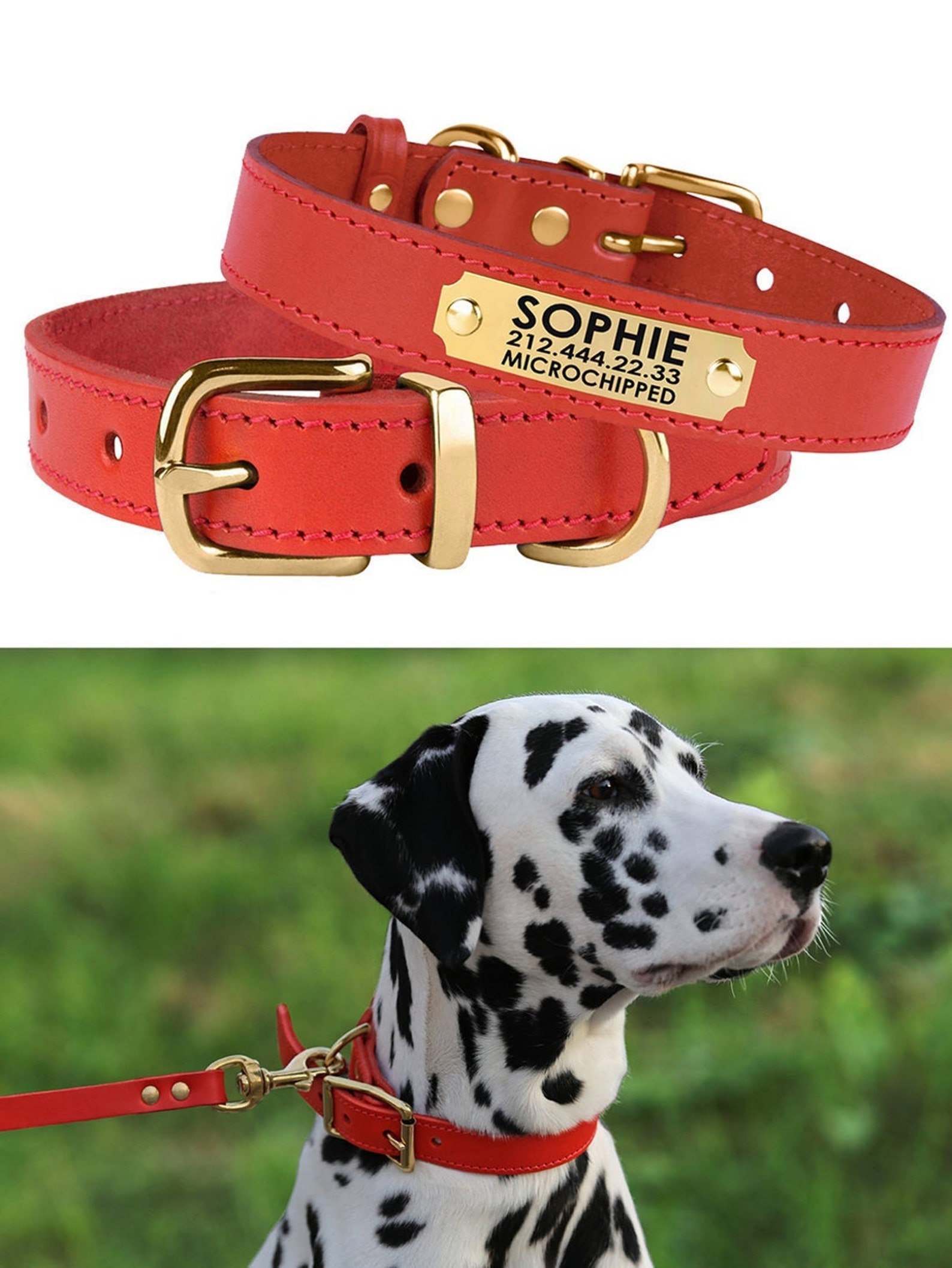 Black Dog Collar or Other 6 Colors Personalized Leather Dog Etsy