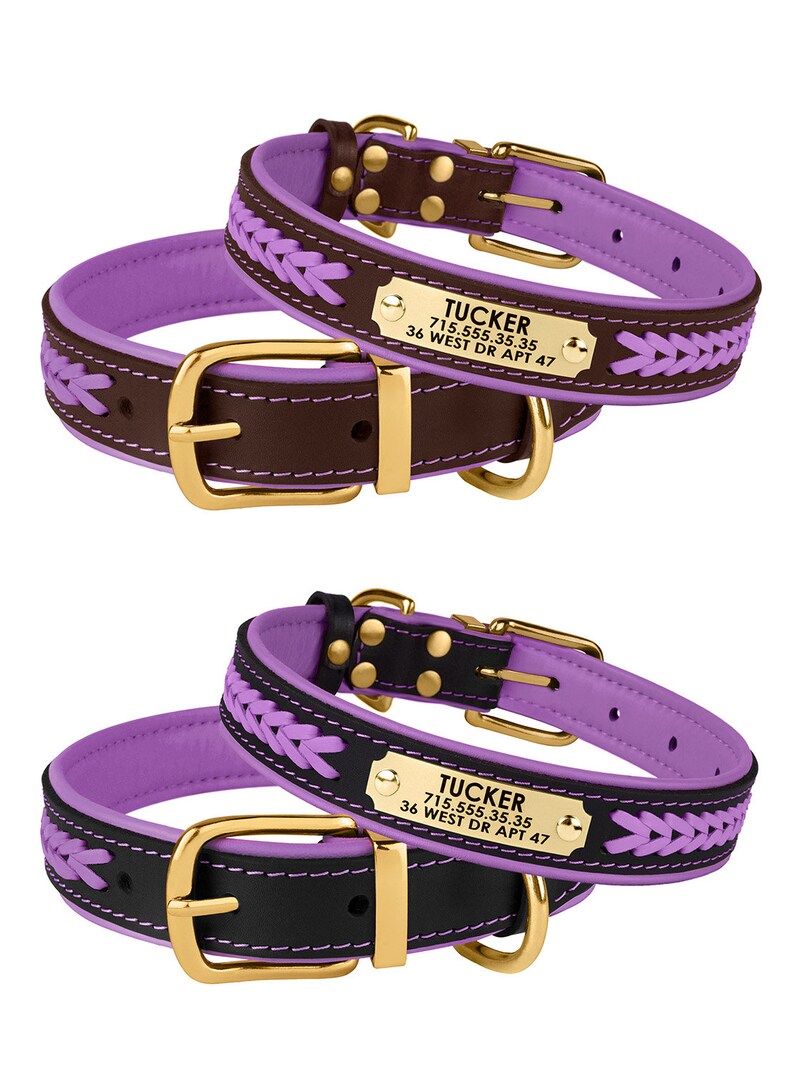 Dog Collar Personalized Dog Collar Leather Braided Dog Etsy