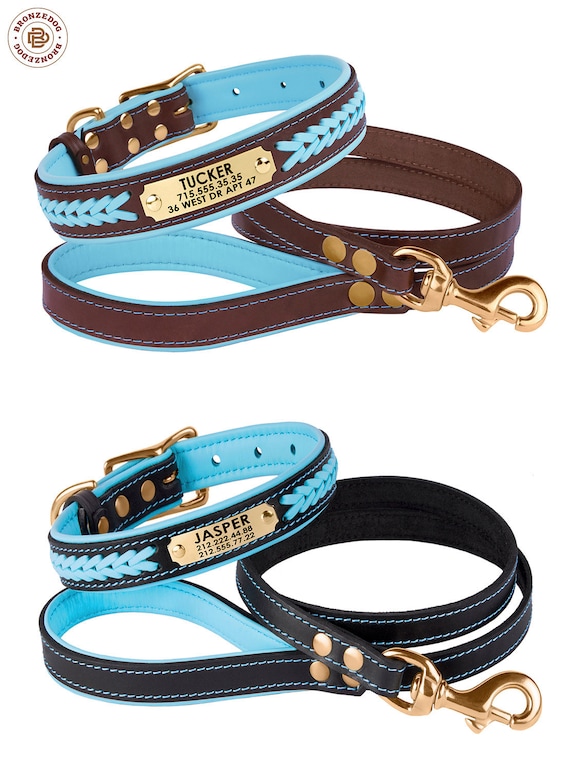 leash collar set