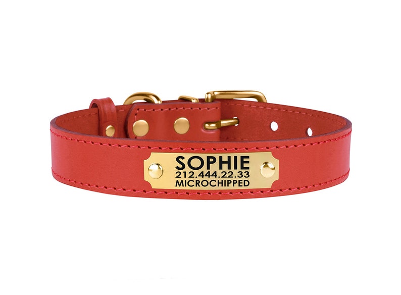 Personalized Dog Collar Red Dog Collar Female Dog Collar Etsy Canada
