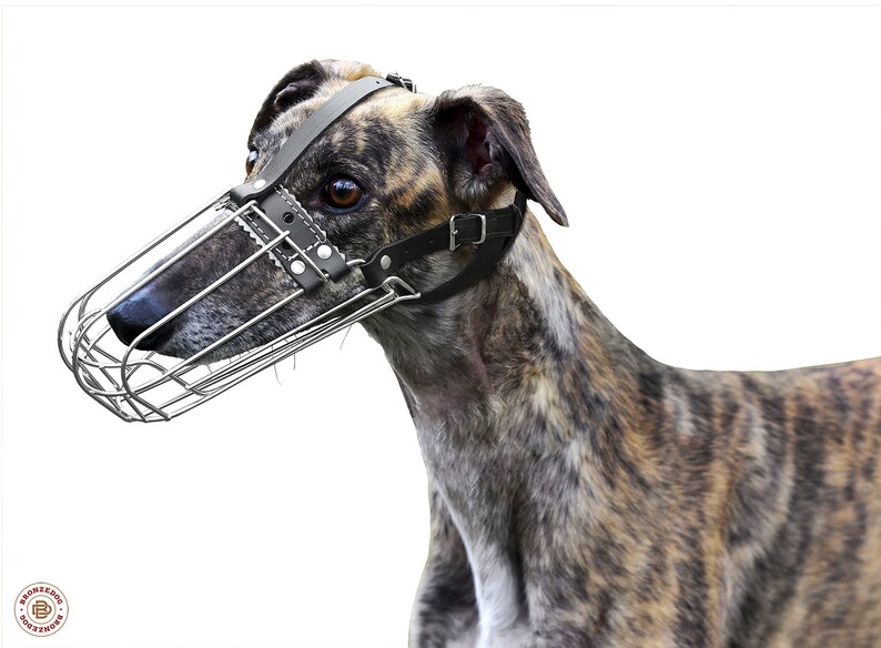 Greyhound Dog Muzzle Metal Basket Whippet Saluki Dog Muzzle Etsy UK