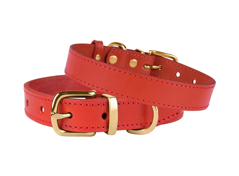 Personalized Dog Collar Red Dog Collar Female Dog Collar Etsy