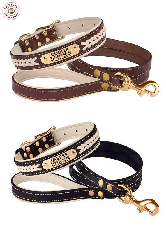 leather dog collar and leash set