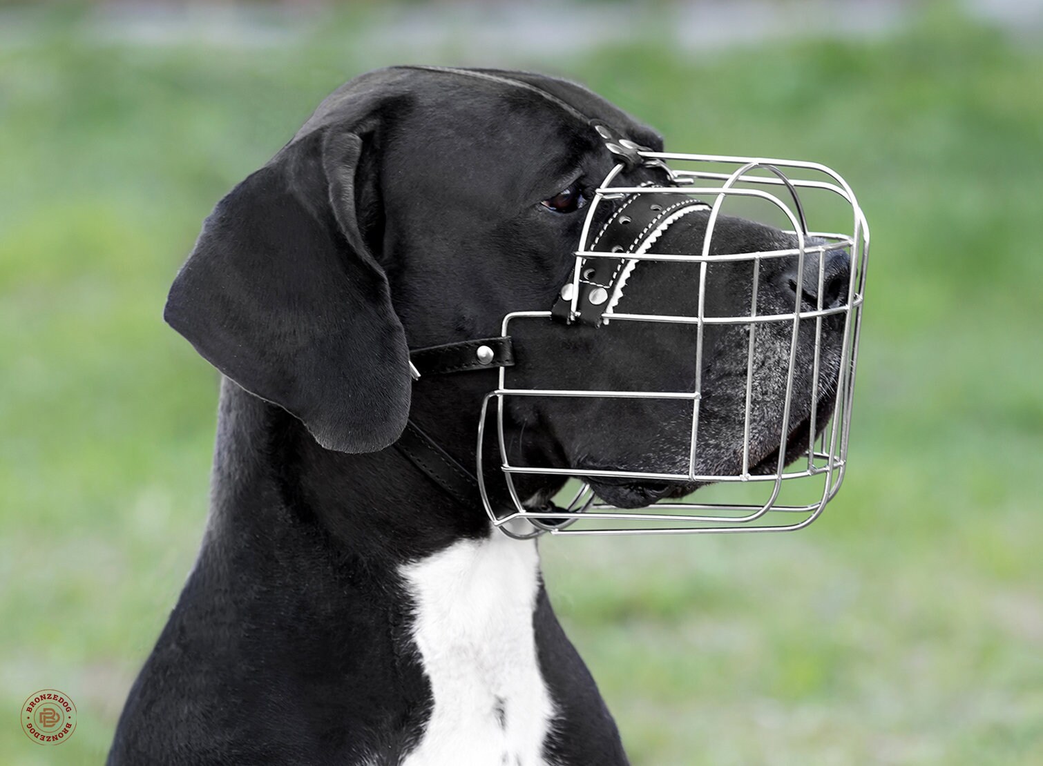 Wire Basket Dog Muzzle Great Dane Metal With Adjustable Etsy Australia