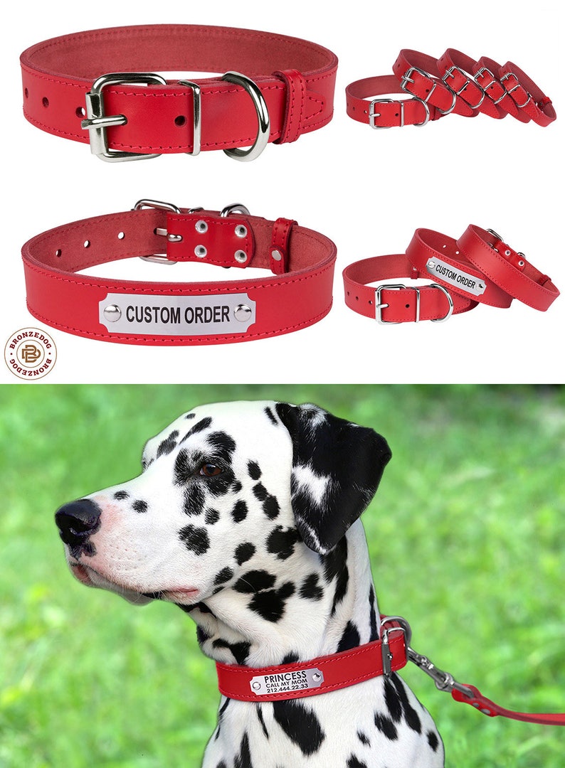 Leather Dog Collar Custom Dog Collar Puppy Collar Etsy