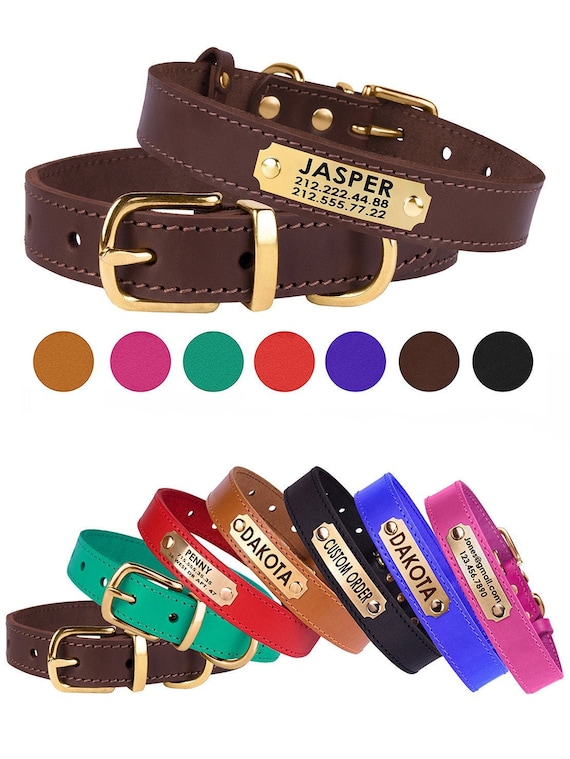 leather dog collars with name plate