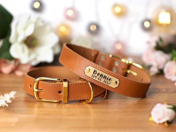 Collar de Collar perro personalizado - Etsy México