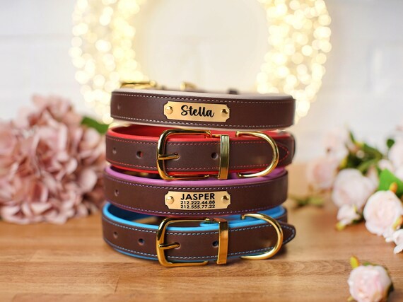 etsy dog collar with name