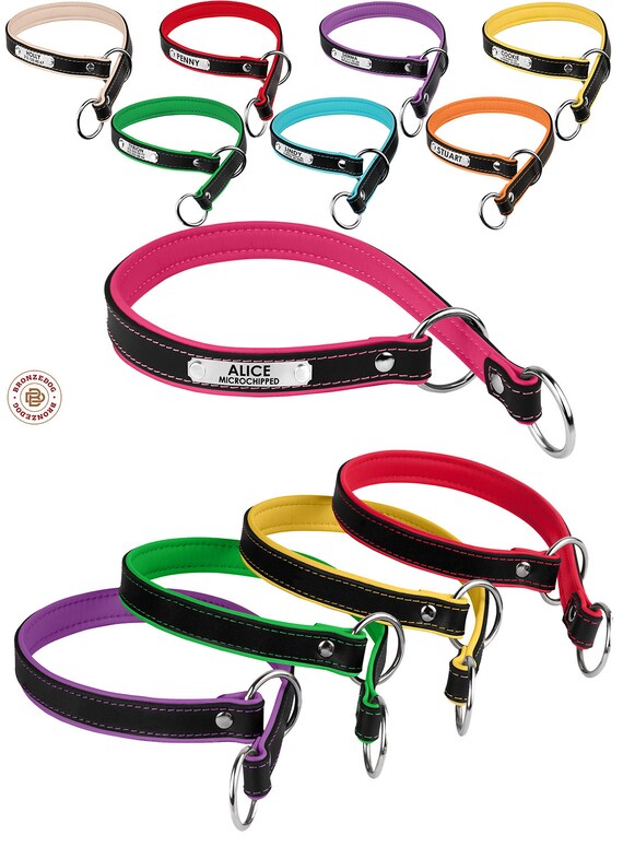 personalized slip leashes