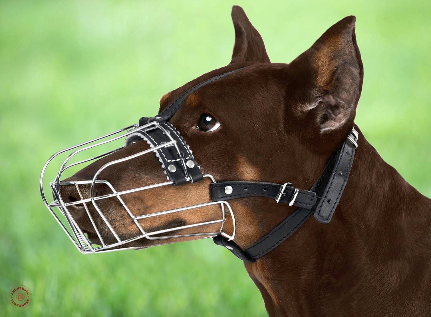 dog muzzle strap