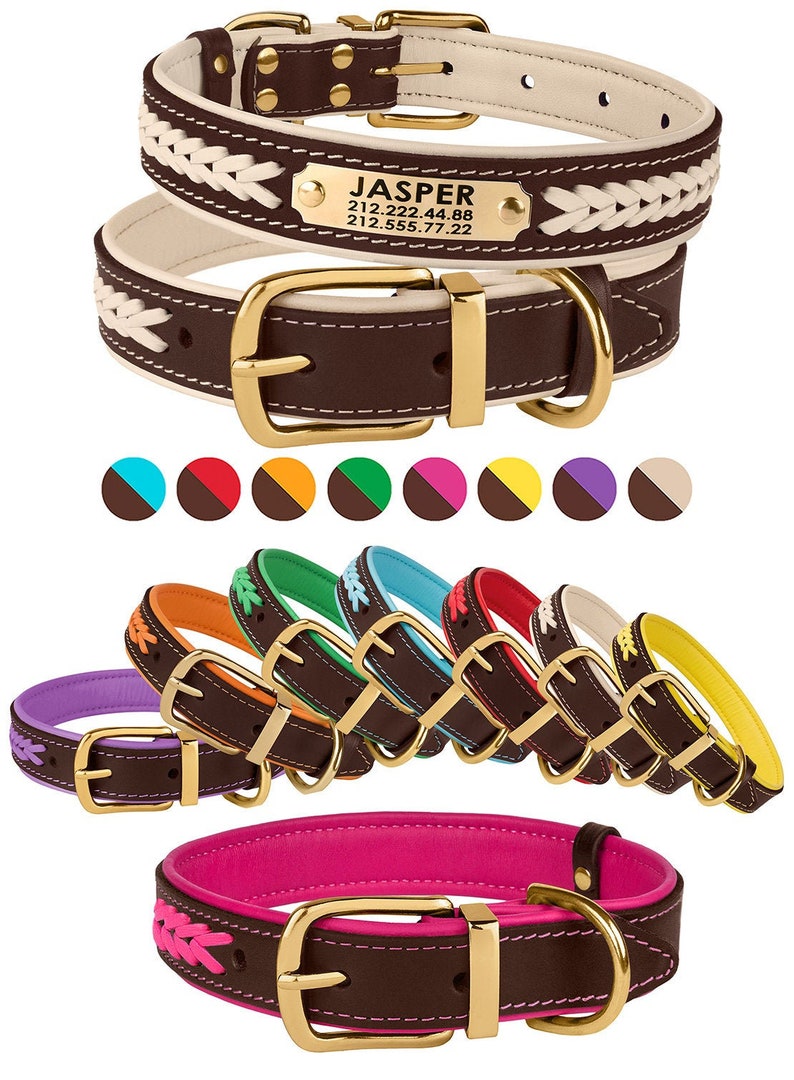 personalized dog leashes