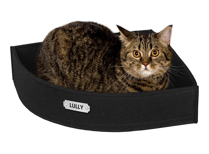 Cat Bed Personalized Corner Cat Furniture Custom Dog House Etsy