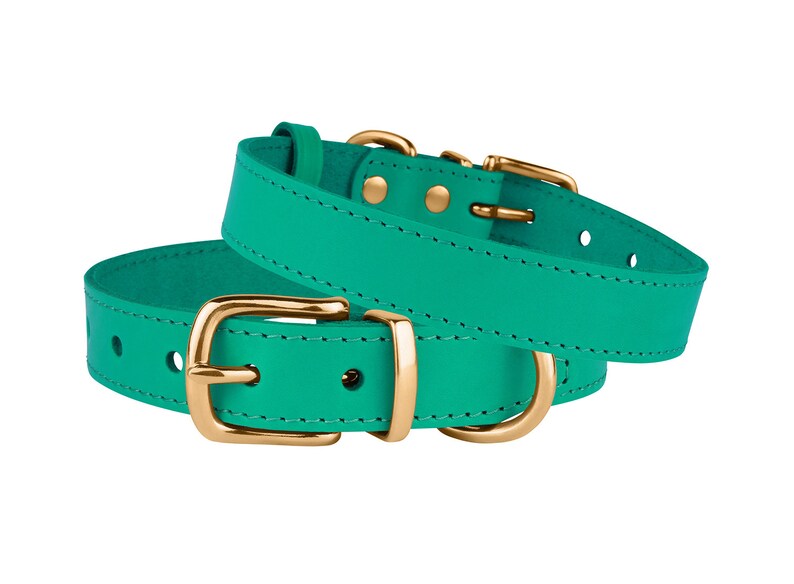 Custom Dog Collar Green Dog Collar Personalize Puppy Collar Etsy