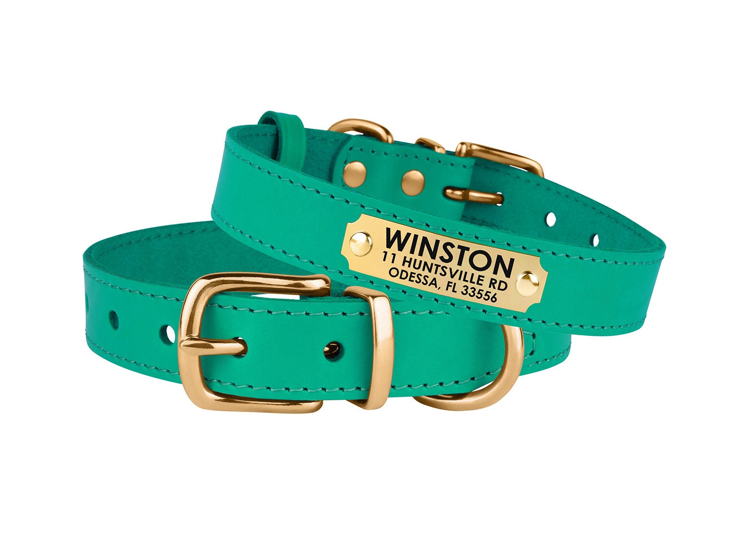 mint green dog collar