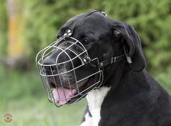 basket muzzle for great dane