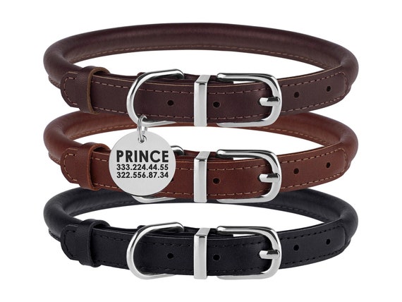 dog sleeps with head under bed