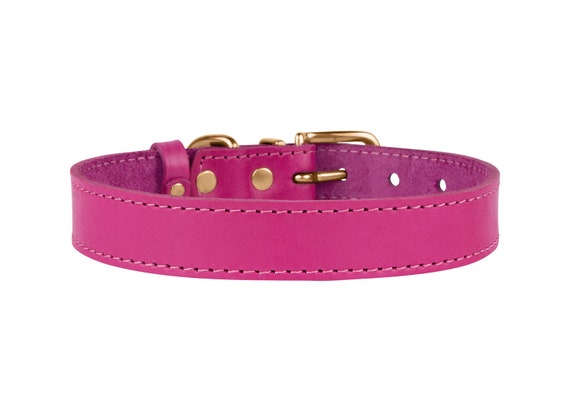 cute leather dog collars