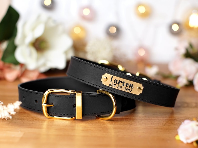 Black Dog Collar or Other 6 Colors, Personalized Leather Dog Collar, Custom Dog Collars with Name Plate, Puppy Collar Small Medium Large 