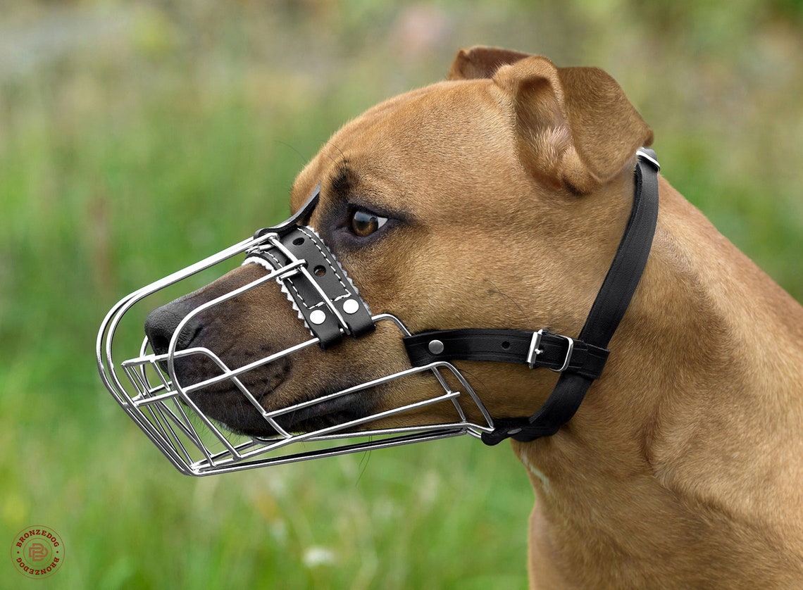 PitBull Dog Muzzle AmStuff Pit Bull Wire Basket Adjustable Etsy