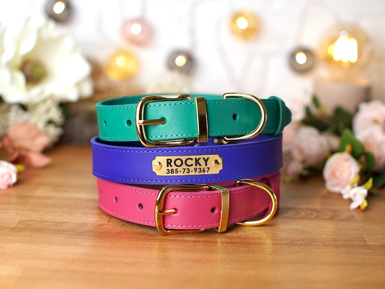 Engraved Leather Dog Collar, Dog Collar Personalized, Custom Dog Collars, Pet Collar, Collar for Small Dog with Name 