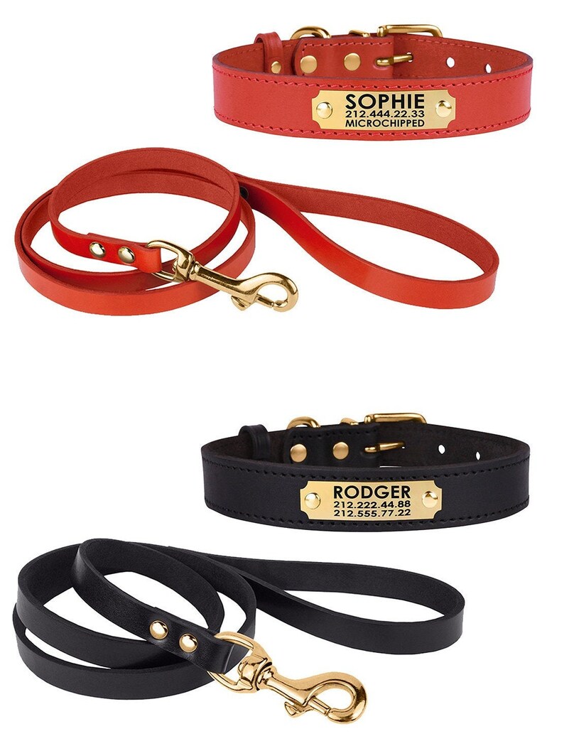 Personalized Dog Collar and Leash Set Leather Dog Collars Etsy