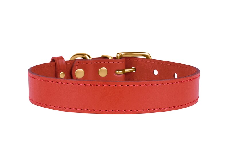 Personalized Dog Collar Red Dog Collar Female Dog Collar Etsy