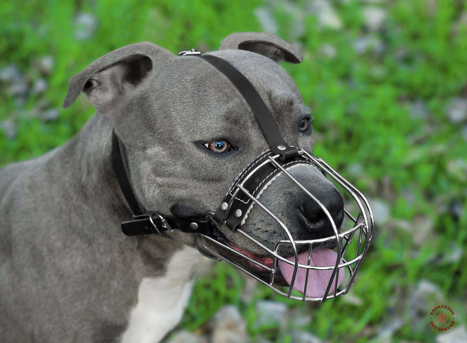 PitBull Dog Muzzle AmStuff Pit Bull Wire Basket Adjustable Etsy