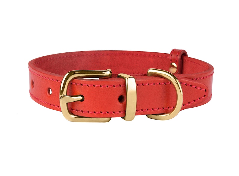 Personalized Dog Collar Red Dog Collar Female Dog Collar Etsy