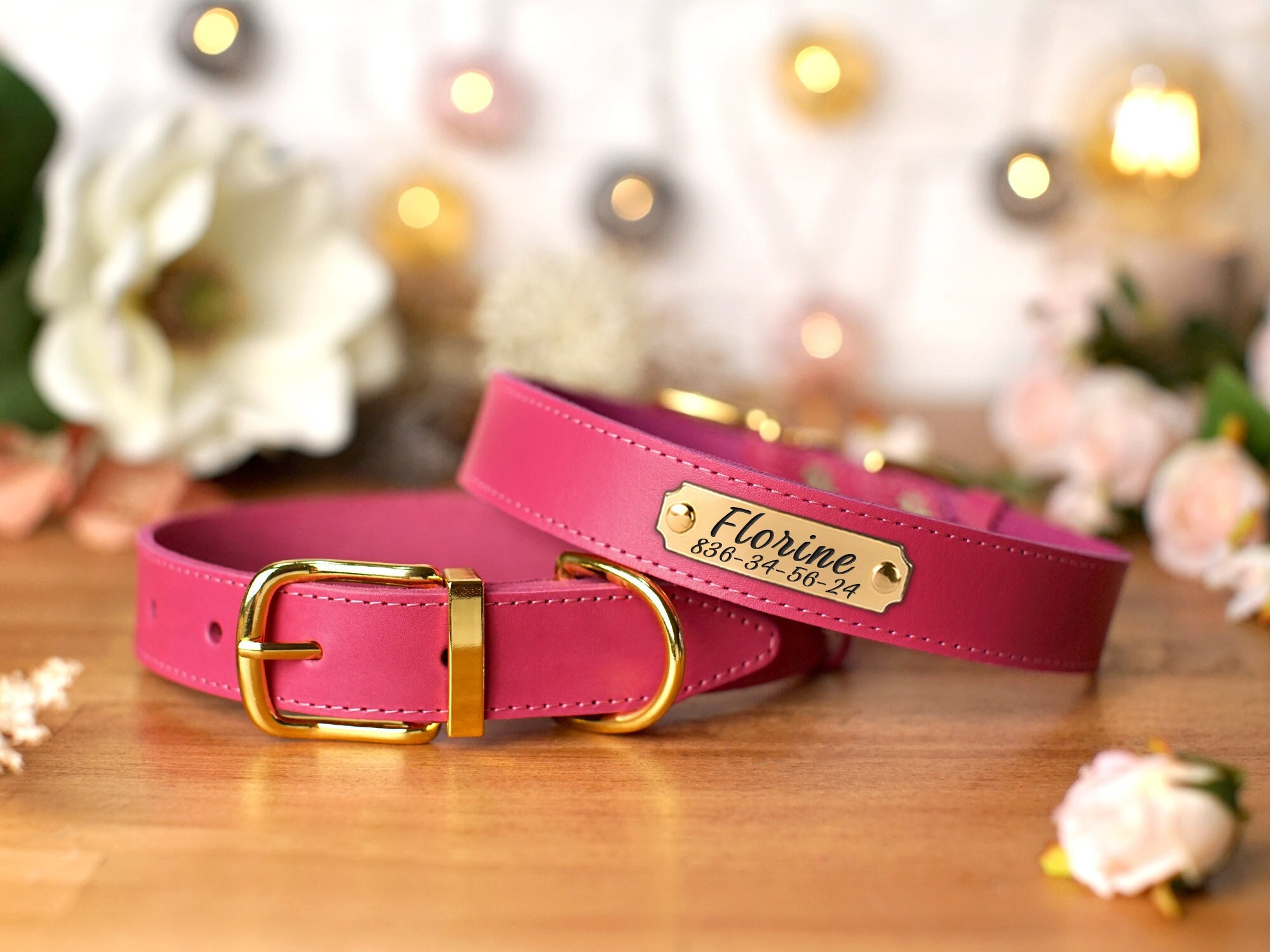 nice dog collars