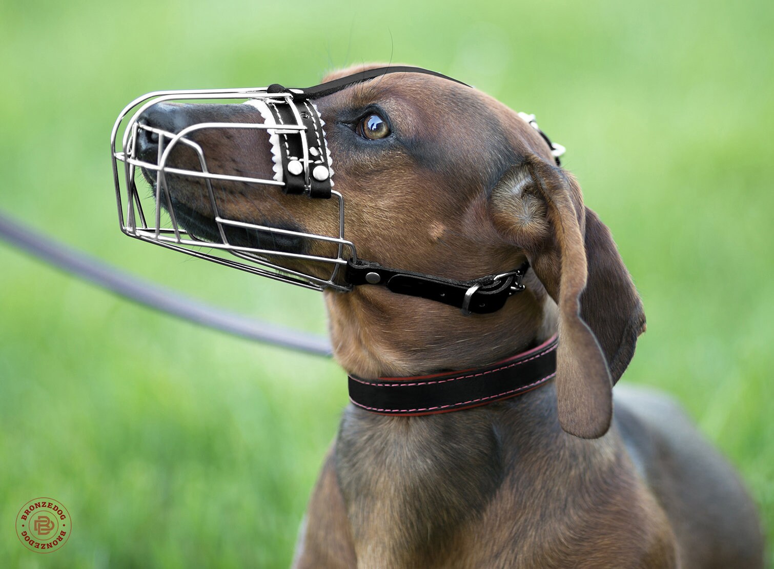 Dog Muzzle Dachshund Metal Wire Basket with Adjustable Leather Etsy