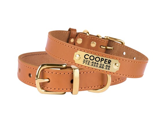 boy dog collars etsy