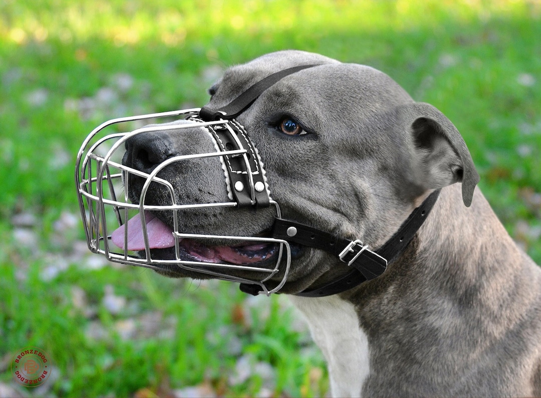 Metal Muzzle for Pitbull Dog Muzzle Pitbull Adjustable Dog Etsy