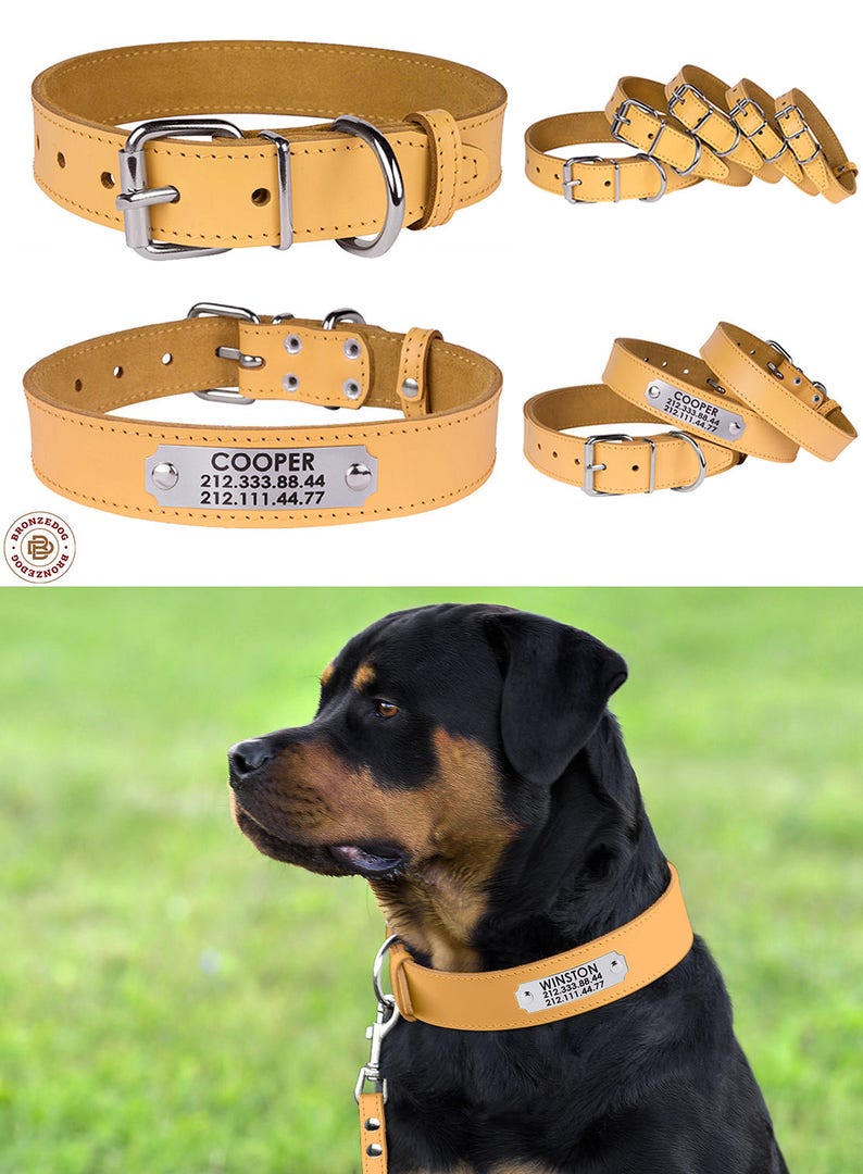 Leather Dog Collar Custom Dog Collar Puppy Collar Etsy