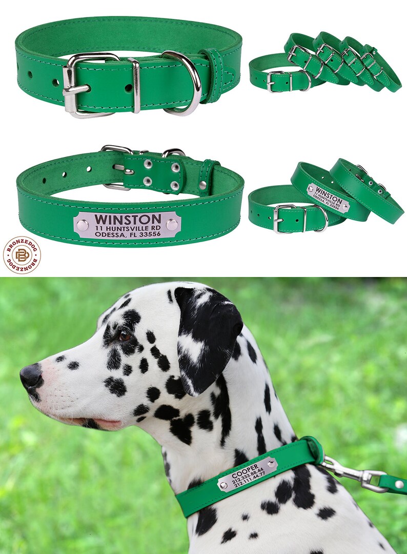 Leather Dog Collar Custom Dog Collar Puppy Collar Etsy