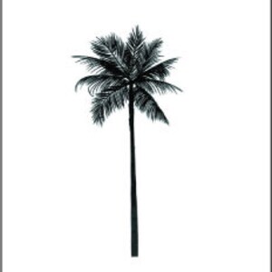 May include: Black silhouette of a palm tree on a white background. The text "encredelicate" is above the tree and "TATOUAGES TEMPORAIRES" is below the tree.