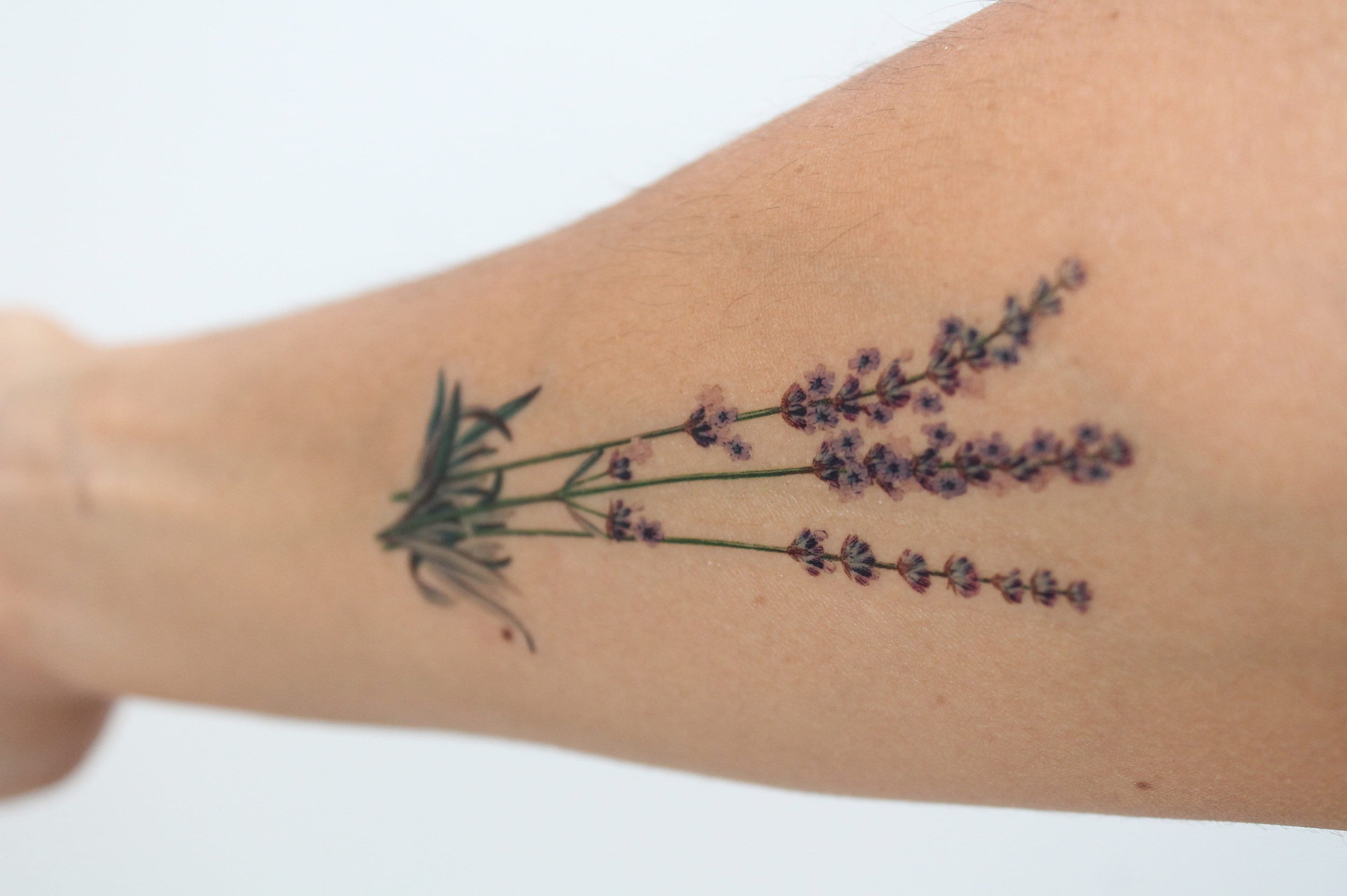 Perfect lavender bouquet by Lena Fedchenko