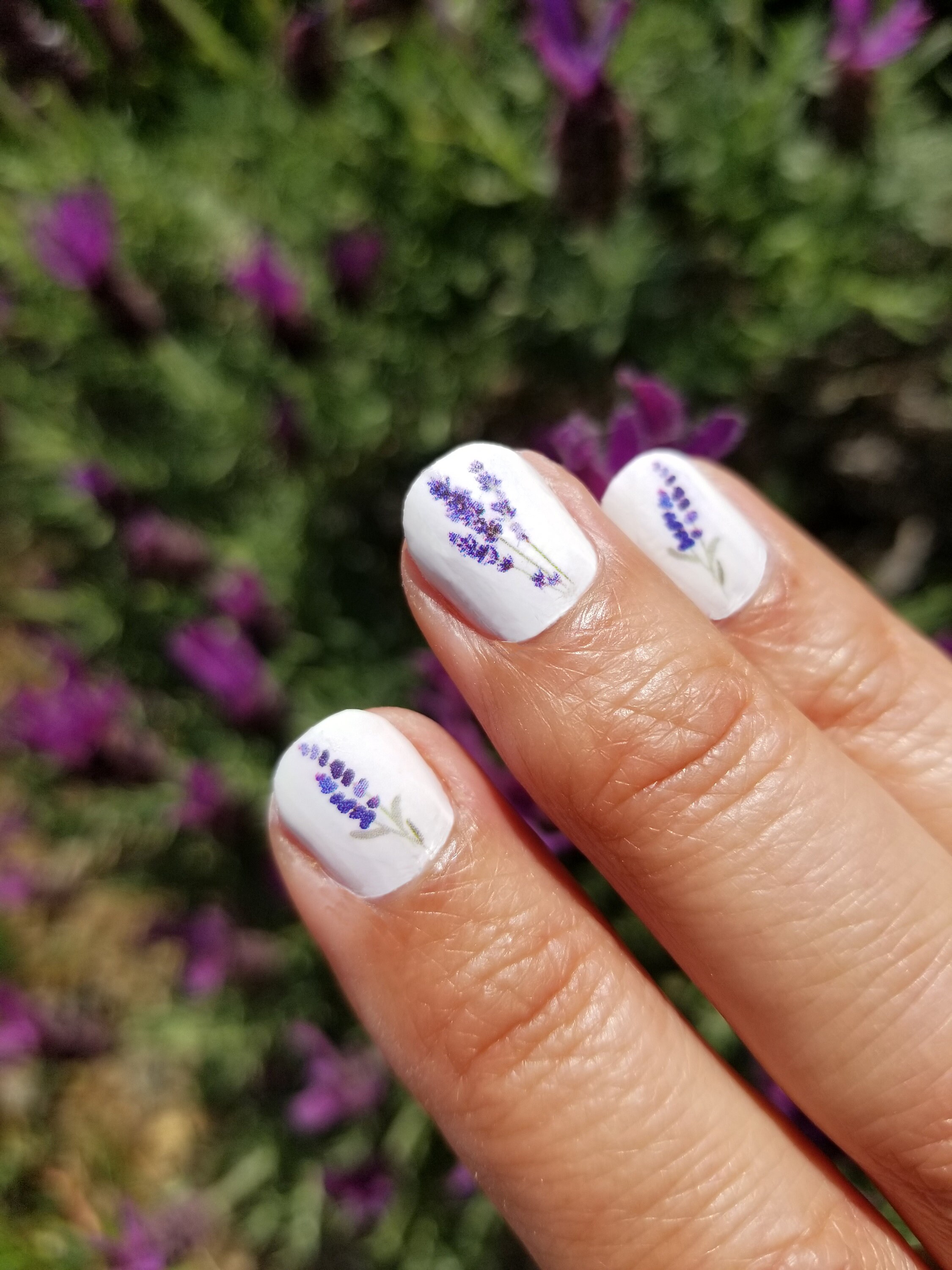 Lavender Spritz Nail Art Design