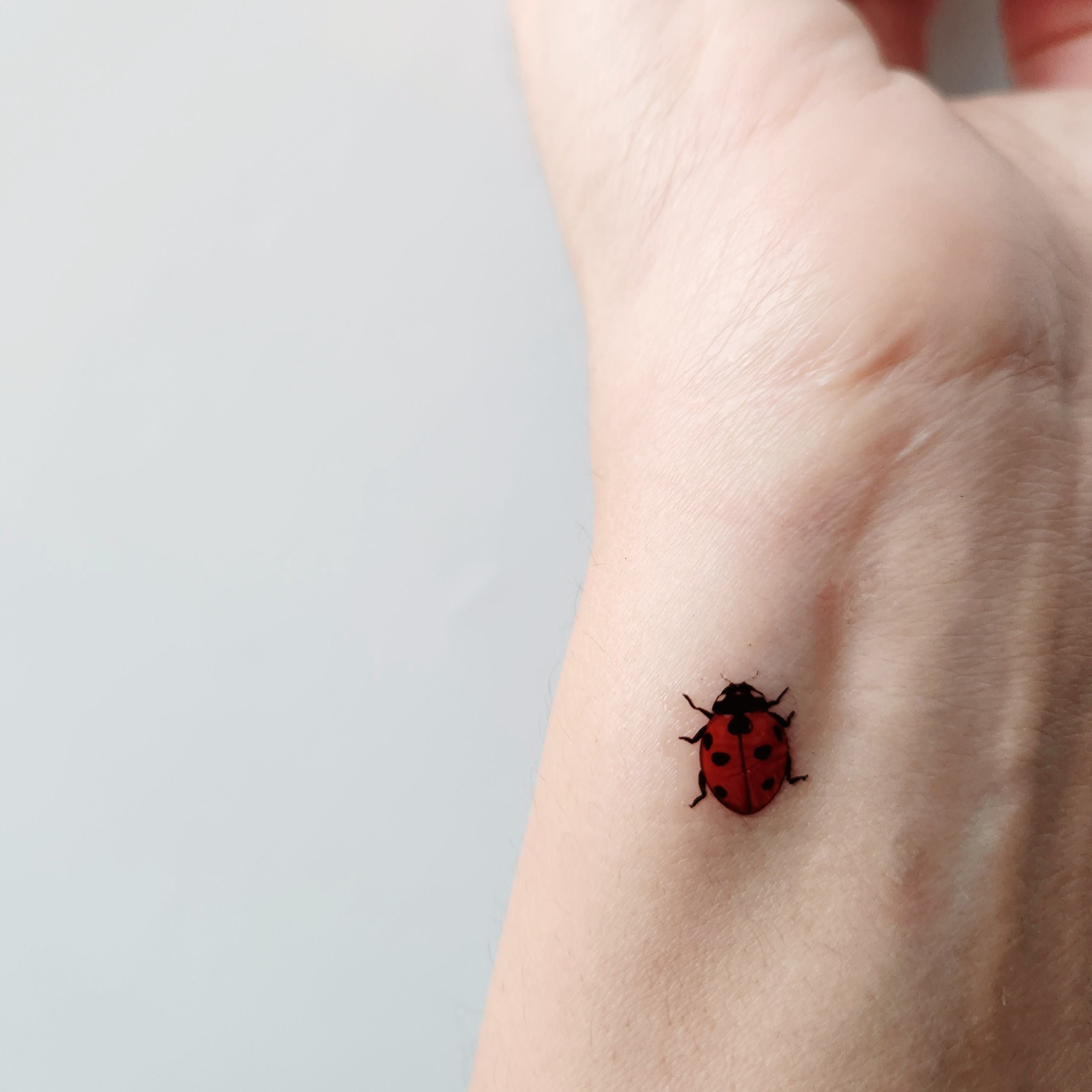 Ladybug Tattoos – Tattoo for a week