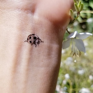 Tiny Red Ladybug Tattoo  Lady bug tattoo Tattoos Paisley tattoos