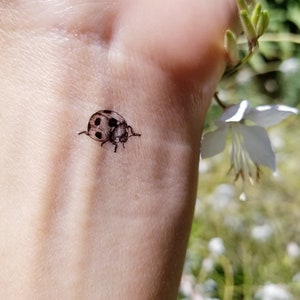 vintage ladybug temporary tattoos (set of 6)
